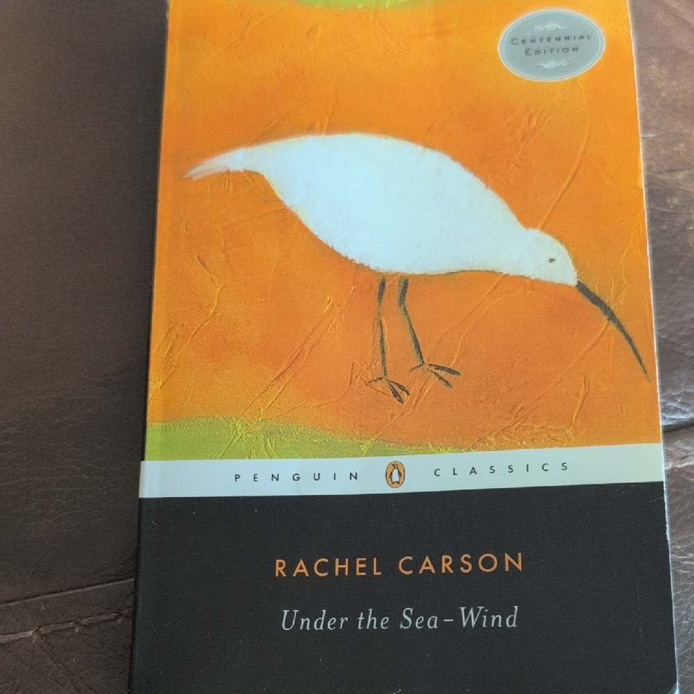 Orange and Black Book